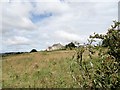 View of Ashtree farm