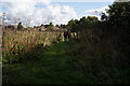 Path leading to Church Lane, Seaton Ross