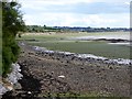 SX9983 : Low tide at Lympstone by David Smith