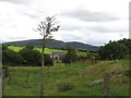 Derelict farmhouse in the Drumadonell Valley