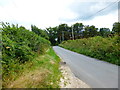 Looking along Itchel Lane from field entrance