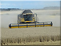 TA0512 : Combining on Elsham Wolds by David Wright