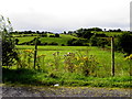 Cloghfin Townland