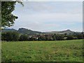 Blackshaw Moor and the Roaches