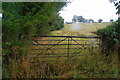 Fields at Grindley on a wet day