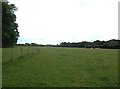 Flat Grazing Land near Foston