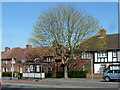 Netley Gardens bus stop