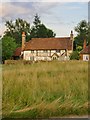 Cottage off Tannery Lane (1)