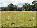 SU7768 : Fields off Gravelpit Hill lane by Alan Hunt