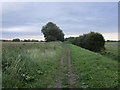 Bridleway to Common Lane