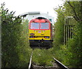 Railtour at Baglan Bay