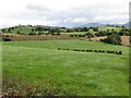 Inter-drumlin wetland at Flush Farm