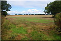 Field near Wanfield Hall