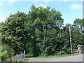 Road and path junction in Sauchie Road