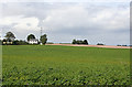 Tattie Field