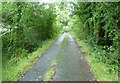 Grove Lane in the rain