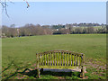 Bench with a view