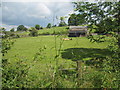 Field and barn at Drybeck