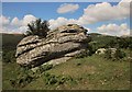 Rock above Widecombe