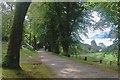 NS0877 : Glenstriven estate, the avenue by Alan Reid