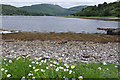 NM9634 : Loch Etive by Stuart Wilding