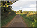 TM4354 : Ferry Road, near Ferry Farm, Sudbourne by Roger Jones