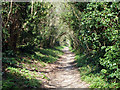 Bridleway continuation of Grove Lane