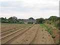 Looking over a recently ploughed field to Fir Tree Cottage from Iken Boot