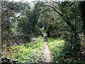 Footpath from Freedown Lane to Croydon Lane