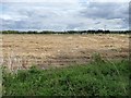 Harvested wheatfield, Vale of Evesham