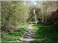 Footpath along edge of Banstead Downs