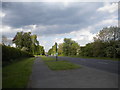 Tall Trees bus stop on the A612 near Lowdham