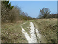 Bridleway, Banstead Downs