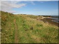NU2616 : The Northumberland Coast Path south of Howick by Graham Robson