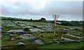 Overgrown runway at Swansea Airport