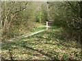 Bridleway Banstead 3