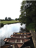 TM0733 : River Stour & Rowing Boats awaiting hire by Geographer