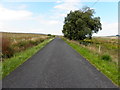 H1385 : Corgary Road, Meenablagh by Kenneth  Allen