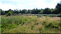 The old grandstand on Oswestry Racecourse Common in August