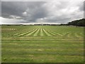 NU2614 : Mown grass field at Boulmer by Graham Robson