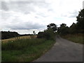 TM0436 : Green Lane near Higham by Geographer