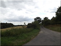 TM0436 : Green Lane near Higham by Geographer