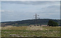 Stubble field with pylon