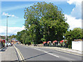 Long Bridge, Farnham