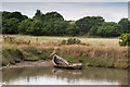 SZ3294 : Derelict Boat on Eight Acre Pond by Kim Fyson