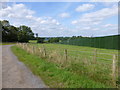 Farm track skirts Creamfields site near Outer Wood