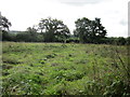 Footpath to Millmoor Farm