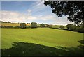 Field near Stone Copse