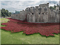TQ3380 : Plaque about Poppies in the Moat, Tower of London, E1 by Christine Matthews