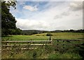 Field near East Combe